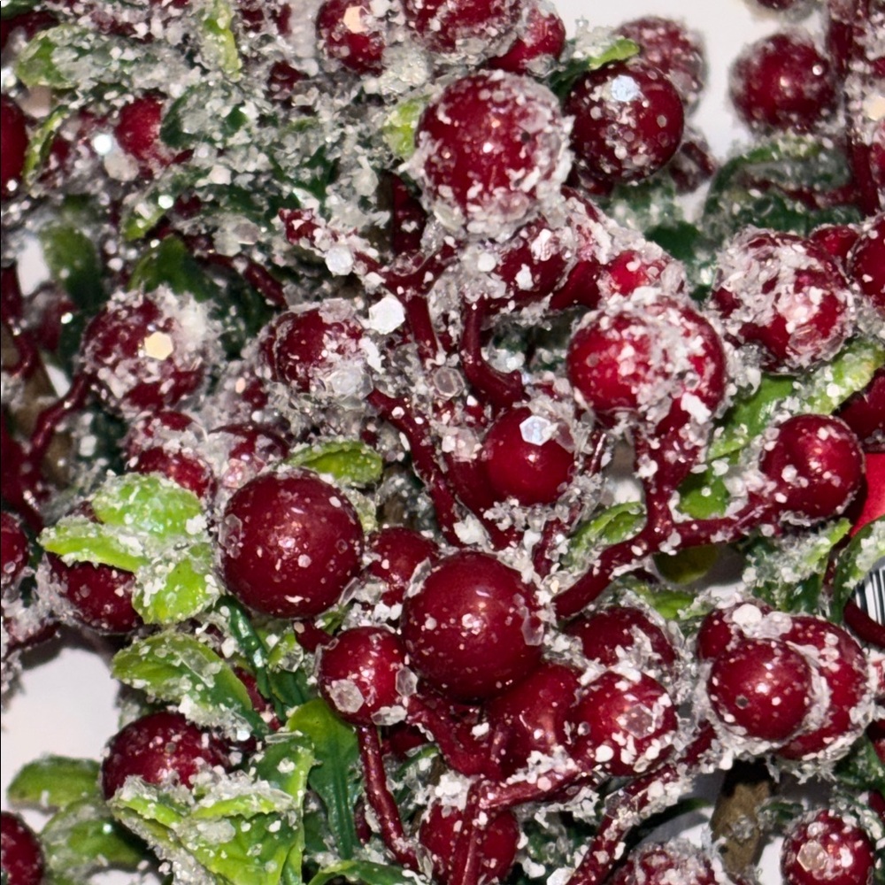 Snow Frosted Red Berry Stems Glitter Red Berries Eucalyptus Picks Set of 12 NWT - Picture 5 of 16